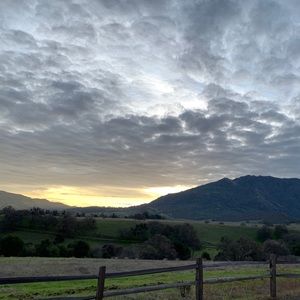 Meet your Posher, Phillip